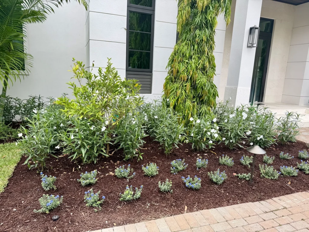 residential landscaping miami