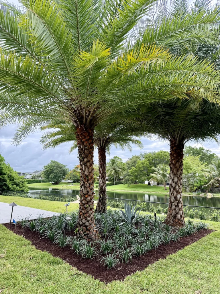 luxury landscape design miami