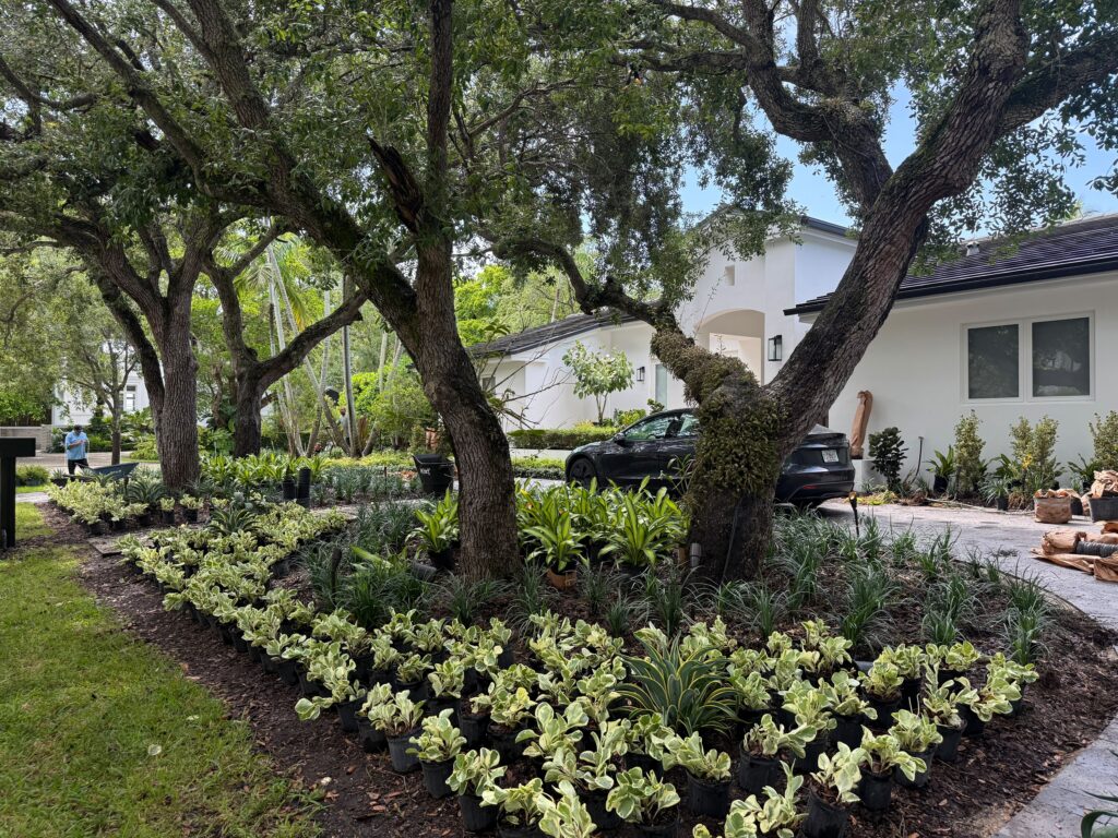 Residential-1