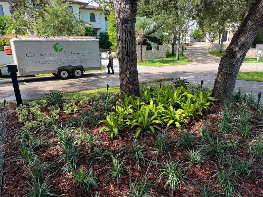 landscape designer