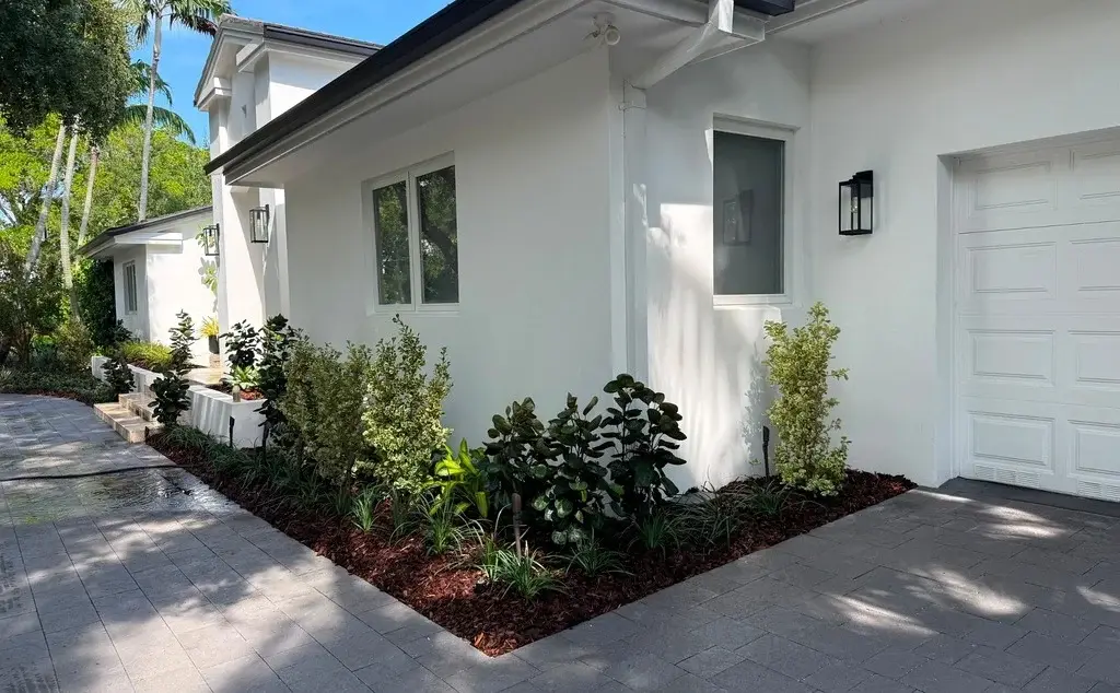 Plants for a Coconut Grove Backyard Landscape