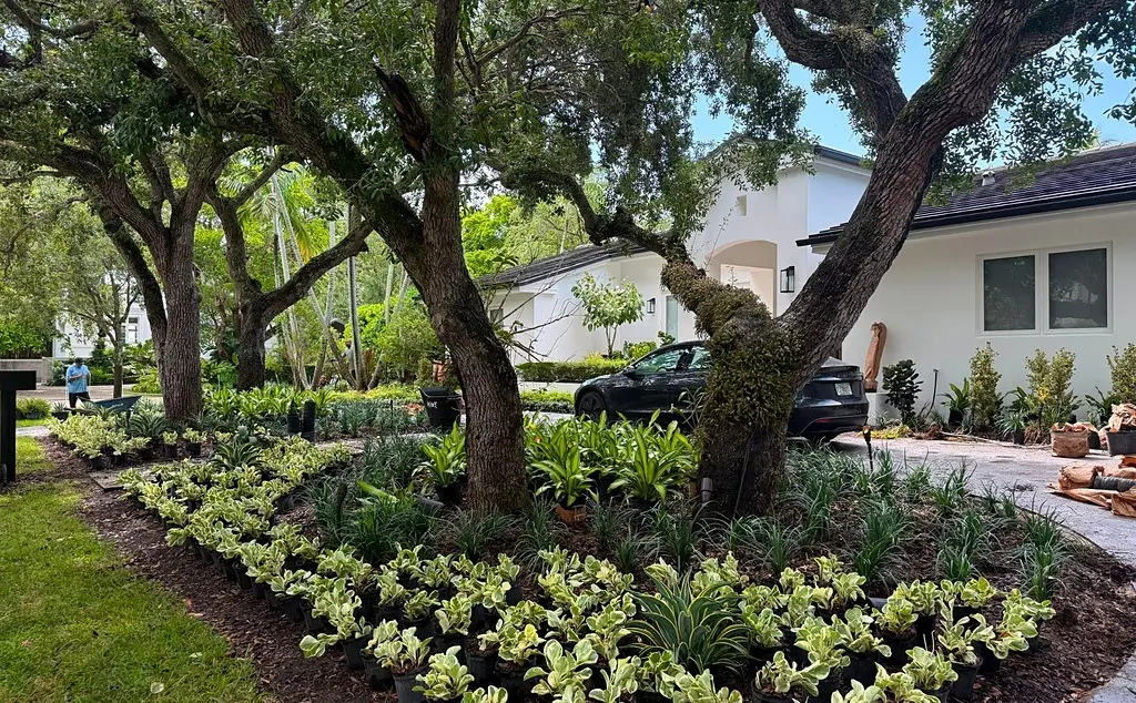 Residential Landscape Design Ideas